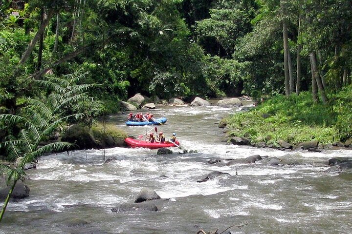 ATV Quad Bike and White Water Rafting in Ubud Bali