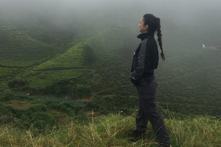 Half-Day Private Trip to Waterfalls and Tea Factory