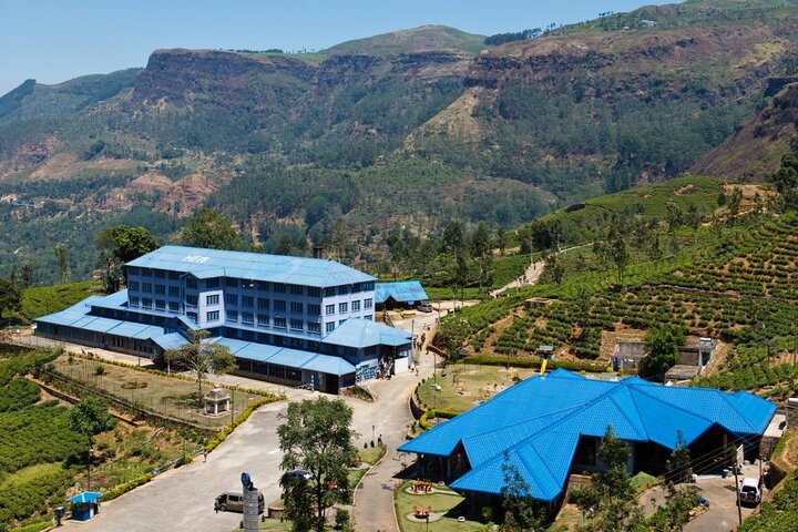 Half-Day Private Trip to Waterfalls and Tea Factory