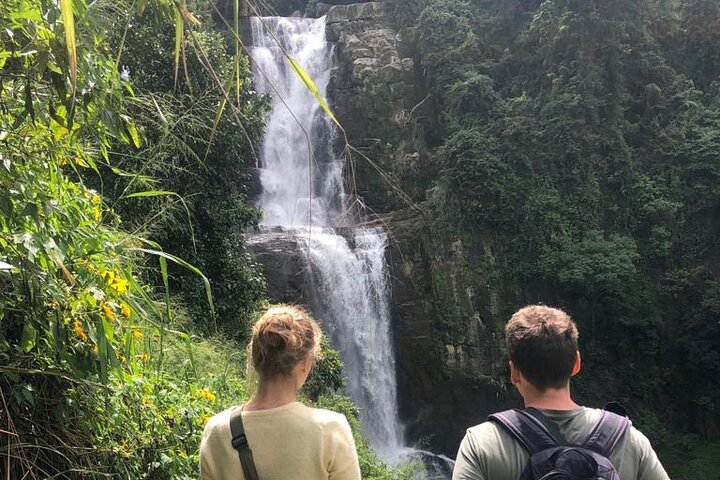 Half-Day Private Trip to Waterfalls and Tea Factory