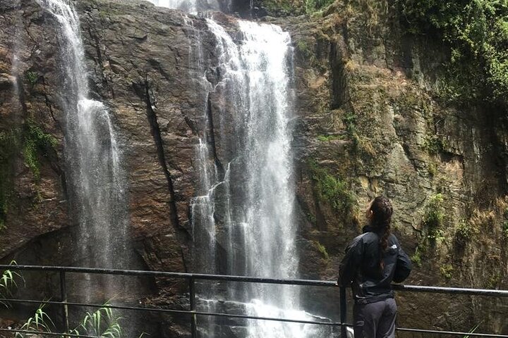 Half-Day Private Trip to Waterfalls and Tea Factory