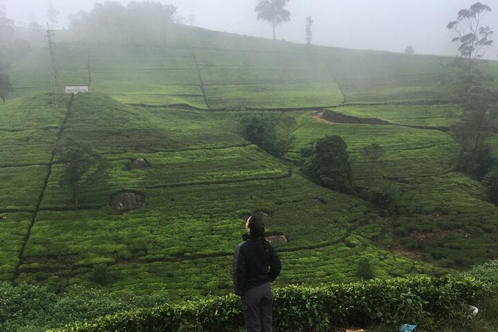 Half-Day Private Trip to Waterfalls and Tea Factory
