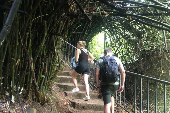Half-Day Private Trip to Waterfalls and Tea Factory