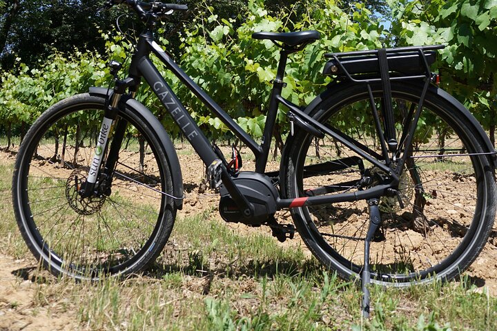 Full day E-Bike rental in the Alpilles