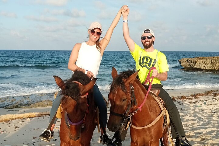 Aruba Ecological & Coastline Horseback Ride with Beach Photo Stop