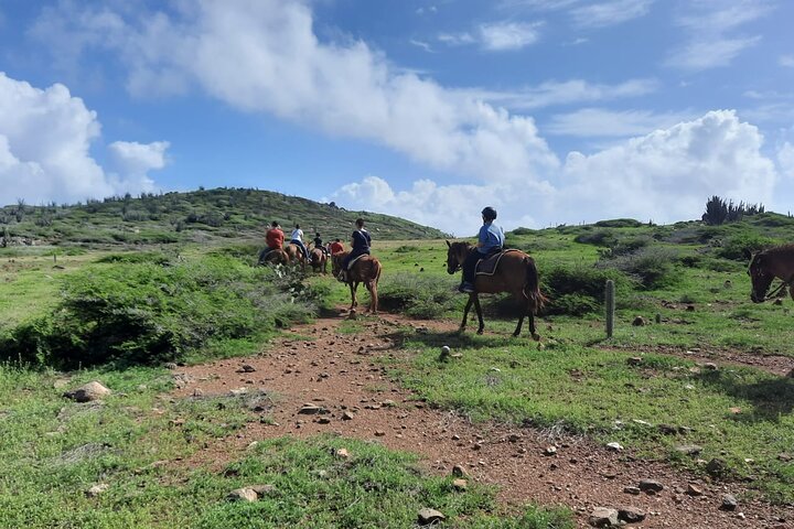 Aruba Ecological & Coastline Horseback Ride with Beach Photo Stop