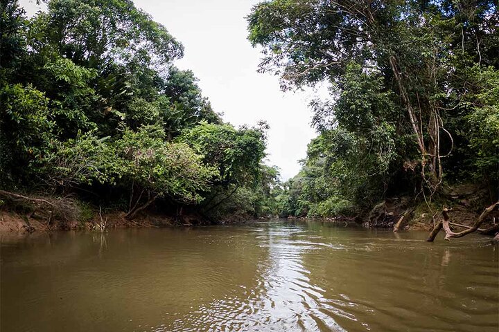 4 Days Deep Jungle Experience