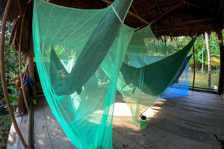 4 Days Deep Jungle Experience