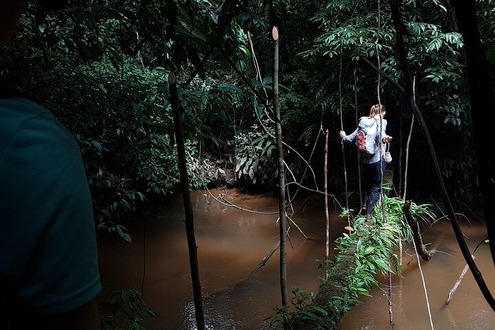 4 Days Deep Jungle Experience