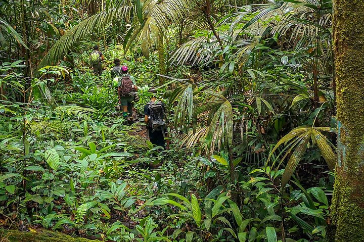4 Days Deep Jungle Experience