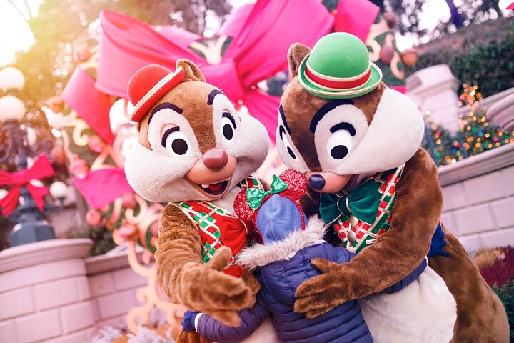 Disneyland® Paris 1 Day with Round-Trip Train Tickets from Paris