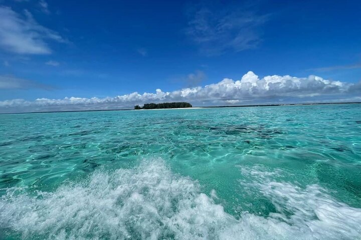 Mnemba Island snorkeling and Swimming with Dolphin