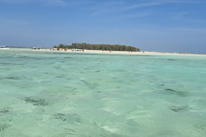 Mnemba Island snorkeling and Swimming with Dolphin