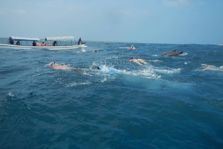 Mnemba Island snorkeling and Swimming with Dolphin