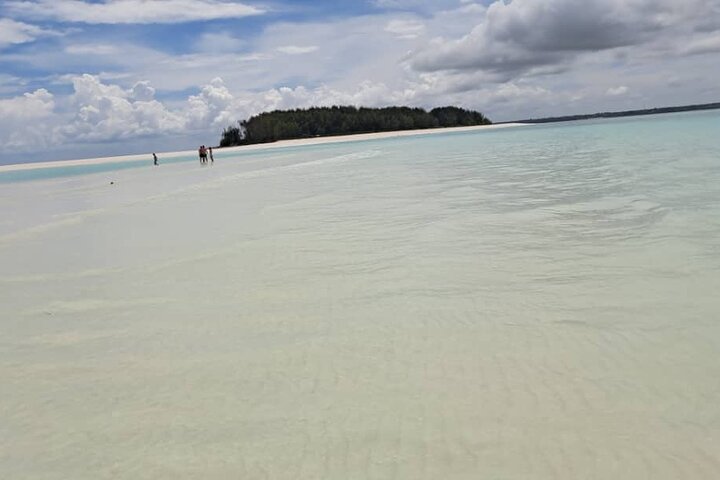 Mnemba Island snorkeling and Swimming with Dolphin