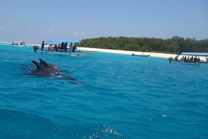 Mnemba Island snorkeling and Swimming with Dolphin