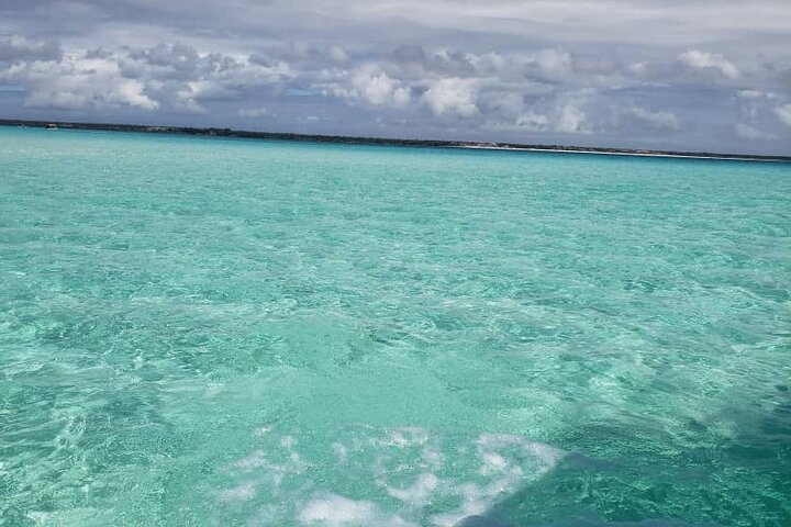 Mnemba Island snorkeling and Swimming with Dolphin