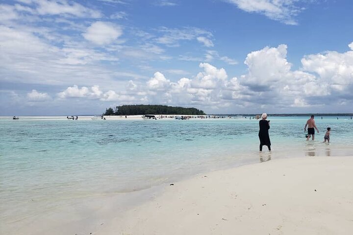 Mnemba Island snorkeling and Swimming with Dolphin