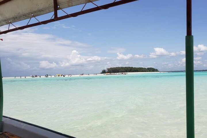 Mnemba Island snorkeling and Swimming with Dolphin