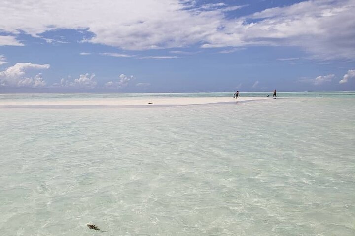Mnemba Island snorkeling and Swimming with Dolphin