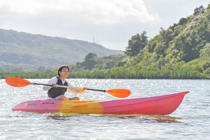 Iriomote Island 1-Day Snorkeling & Mangrove SUP or Canoe