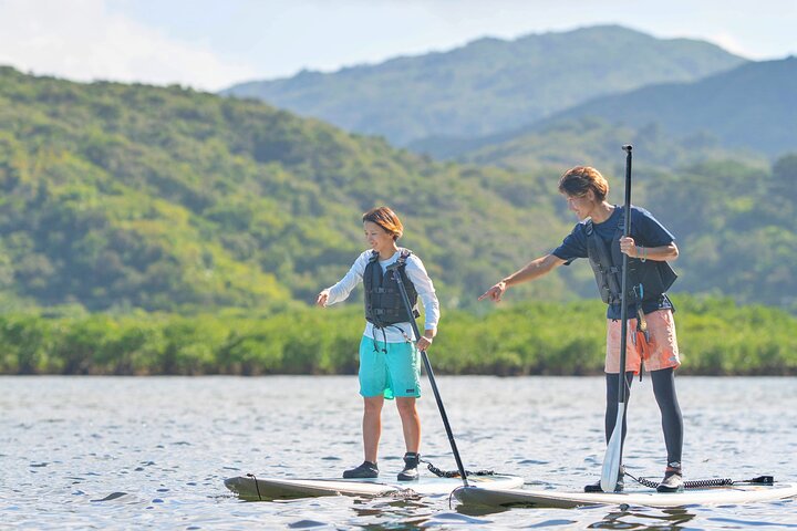 Iriomote Island 1-Day Snorkeling & Mangrove SUP or Canoe