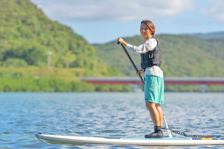 Iriomote Island 1-Day Snorkeling & Mangrove SUP or Canoe