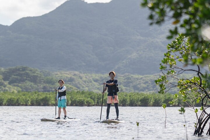 Okinawa Iriomote Mangrove SUP or Canoe and Splash Canyoning Tour
