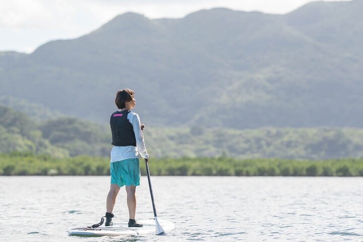 Okinawa Iriomote Mangrove SUP or Canoe and Splash Canyoning Tour