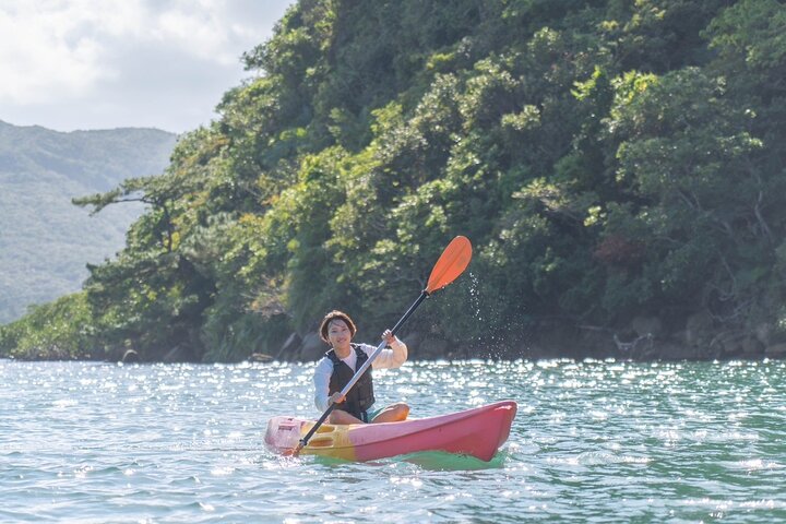Okinawa Iriomote SUP or Canoe and Sightseeing in Yubujima Island