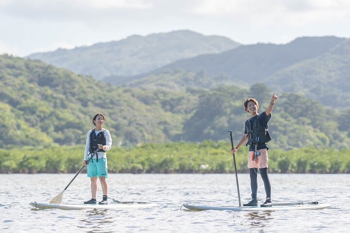 Okinawa Iriomote SUP or Canoe and Sightseeing in Yubujima Island