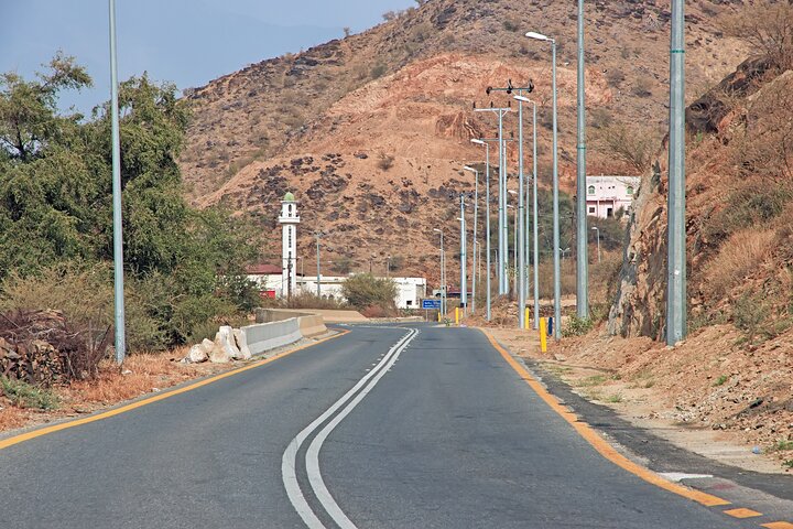 Private Tour Discover Taif City Full Day from Taif