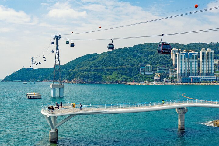 Busan Private Tour with Licensed Local guide