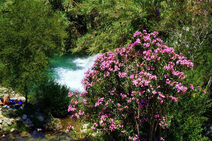 From Albir & Benidorm: Algar Waterfalls day trip