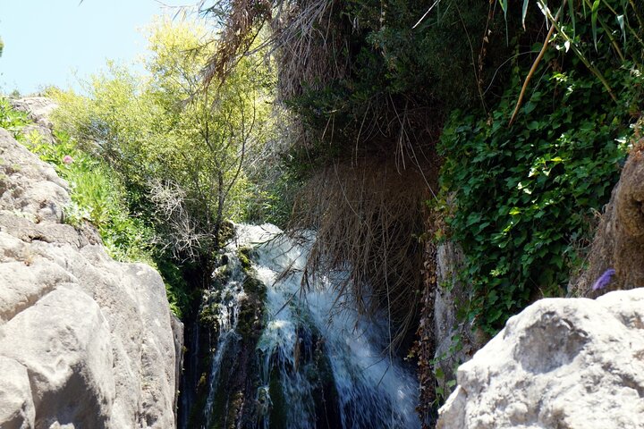 From Albir & Benidorm: Algar Waterfalls day trip