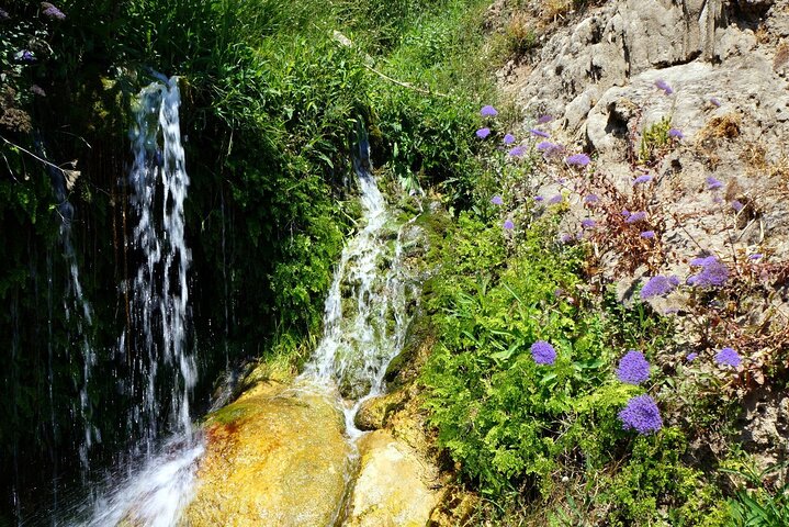 From Albir & Benidorm: Algar Waterfalls day trip