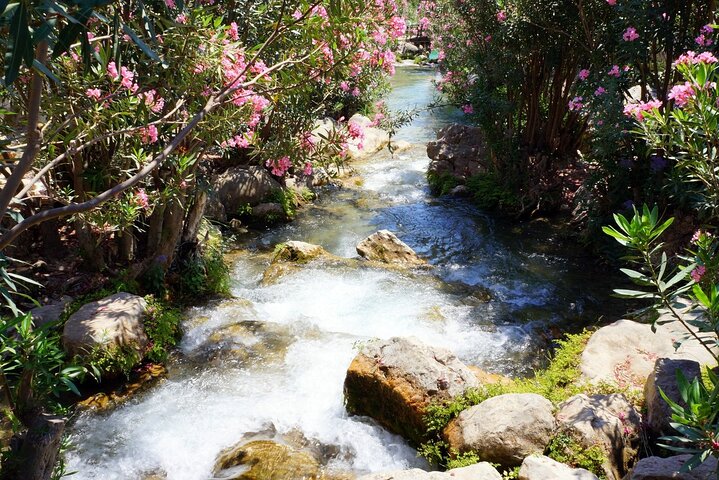 From Albir & Benidorm: Algar Waterfalls day trip