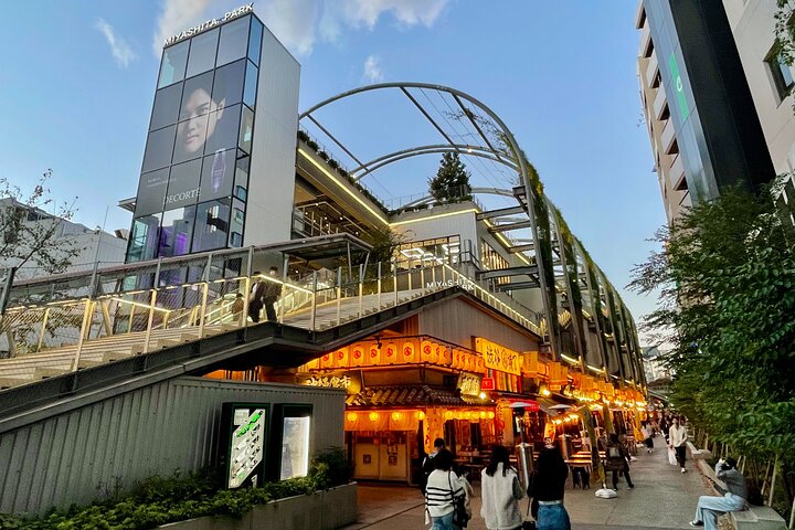 Tokyo Private Discovery Tour | Unique Insights & Must Sees