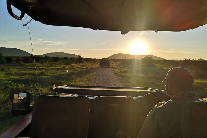 1 Night Madikwe Game Reserve