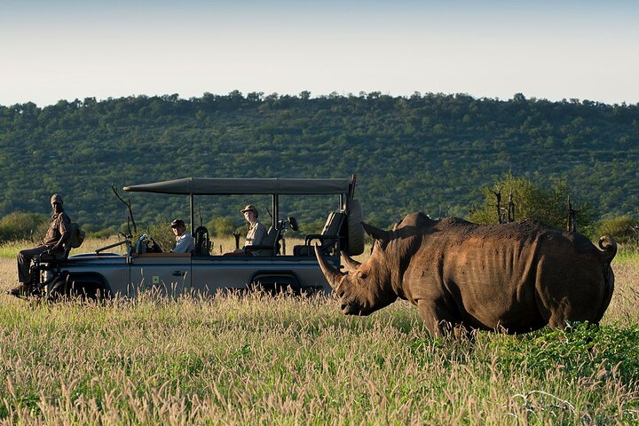 1 Night Madikwe Game Reserve