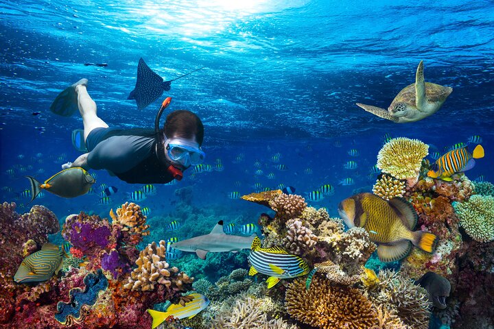 Half Day Private Snorkeling Tour in Maafushi Island