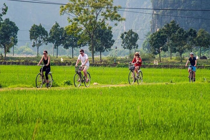 Best Seller-Private Full-Day Tour to Ninh Binh Depart from Hanoi