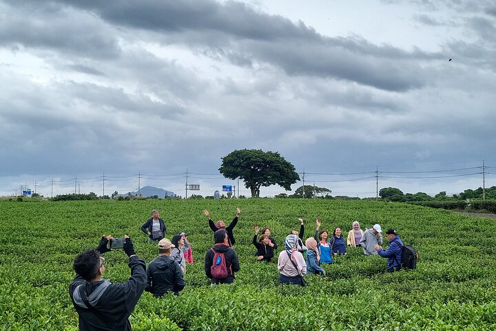 Private Day tour East & south & west of All area in jeju island