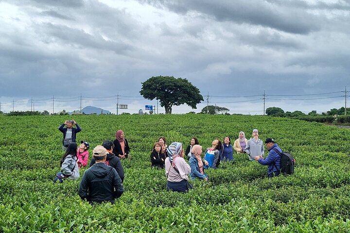 Private Day tour East & south & west of All area in jeju island