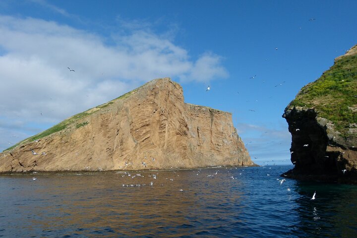 Terceira Island | Private: Ilhéus das Cabras Boat Tour