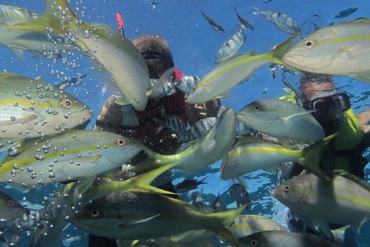 VIP Party Boat & Snorkeling at Sosua Bay