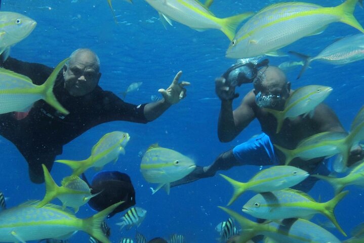 VIP Party Boat & Snorkeling