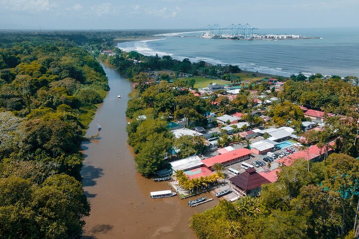 Limón Rainforest Hanging Bridges-Skywalk Tour & Tortuguero Canals