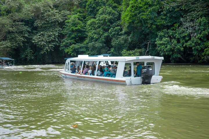 Limón Rainforest Hanging Bridges-Skywalk Tour & Tortuguero Canals
