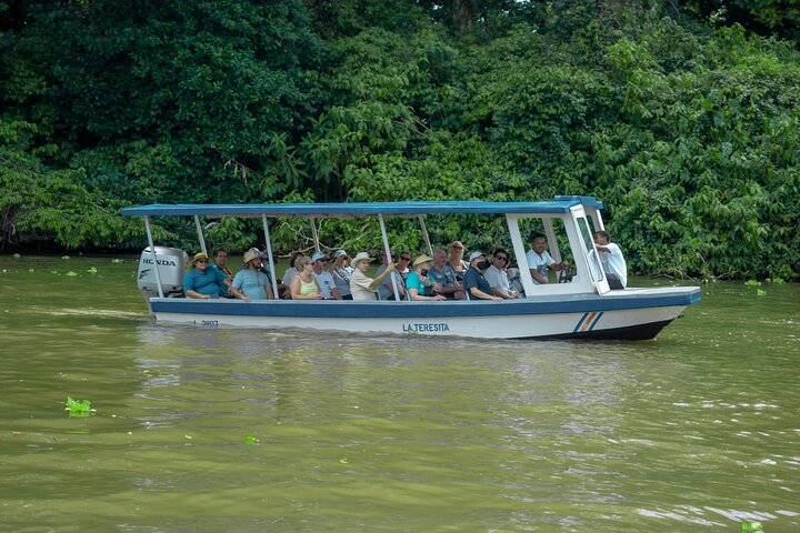 Limón Rainforest Hanging Bridges-Skywalk Tour & Tortuguero Canals